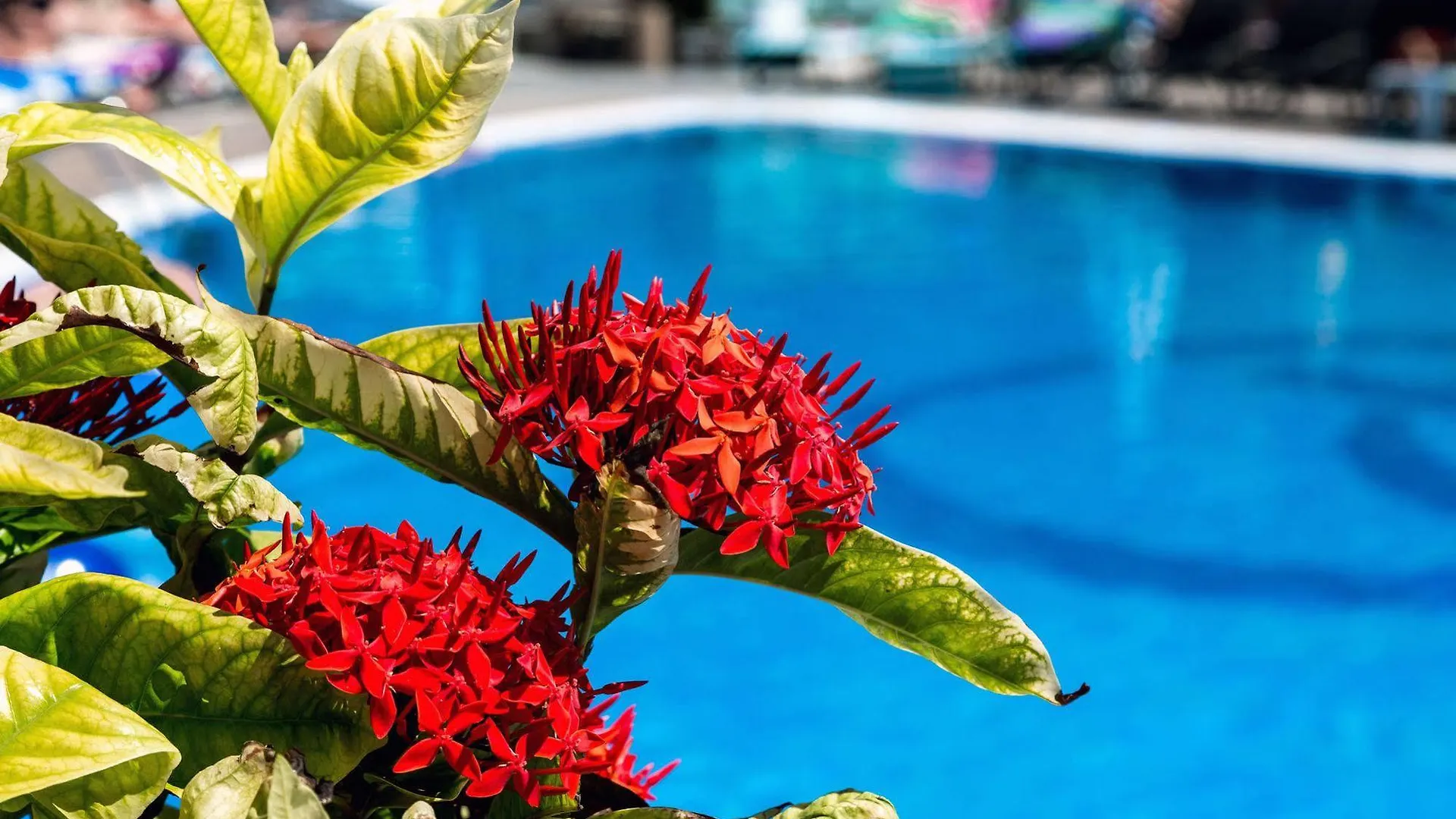 ***  Bahia Blanca Aparthotel Πουέρτο Ρίκο Ισπανία