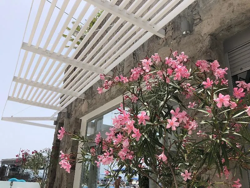Bahia Blanca Aparthotel Πουέρτο Ρίκο